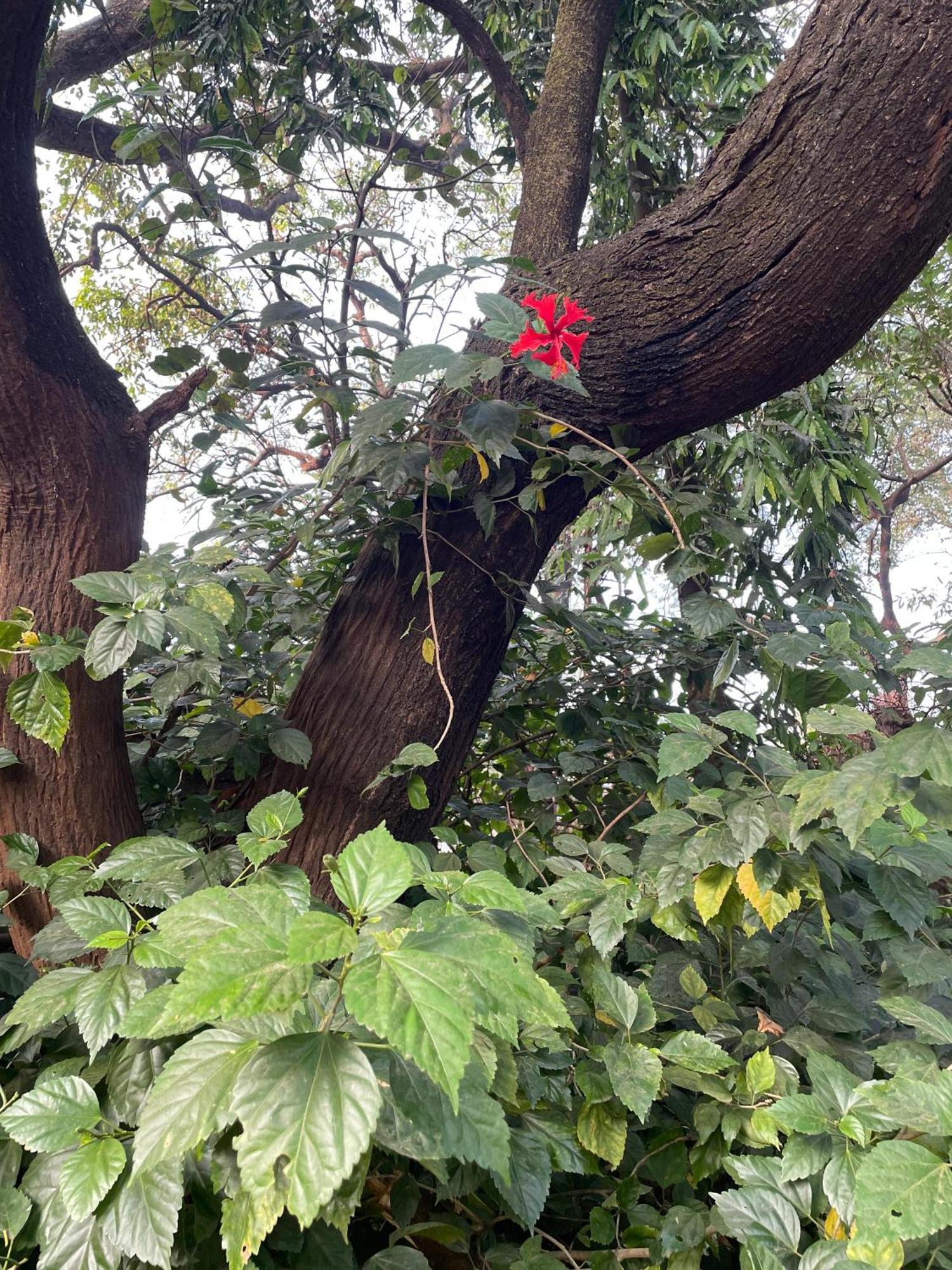 The Imperial Heritage II 2 Minutes From Station And Market II Deluxe Ac Rooms II Lonavala Esterno foto
